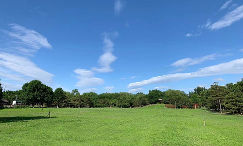 北京奧林匹克森林公園綠化養護項目